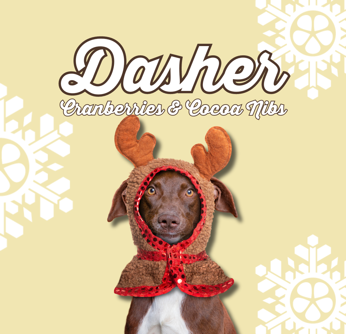 DASHER Cranberries & Cocoa Nibs (85gms)