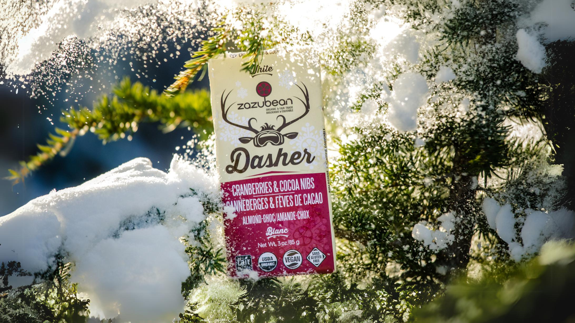 DASHER Cranberries &amp; Cocoa Nibs (85gms)