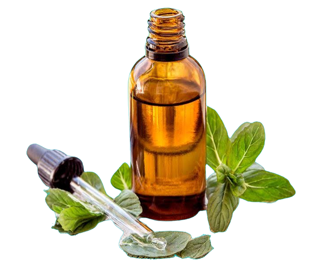 Peppermint Oil
