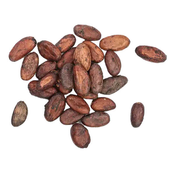 Cocoa Beans & Cocoa Butter